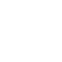 SAE